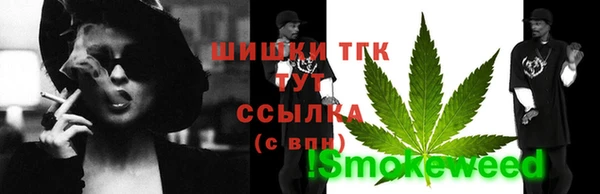 дживик Заводоуковск