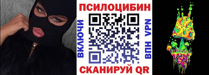 дарнет шоп Плавск Галлюциногенные грибы Psilocybe